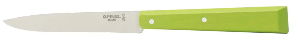 Opinel steakmes N°125 22 cm rvs lichtgroen Beperkte Voorraad