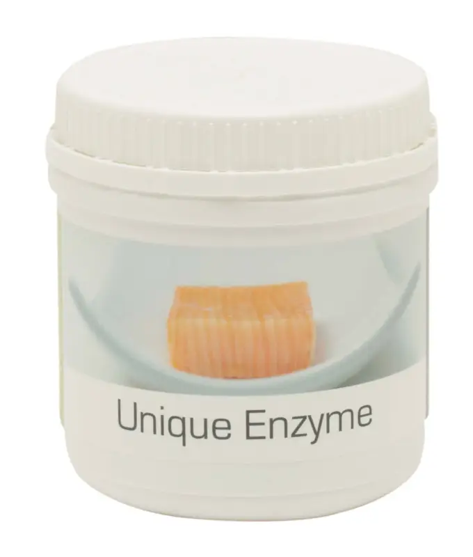 Unique Products Enzyme 100 gram (transglutaminase) Weekendaanbieding