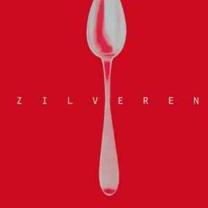 Rechtstreeks Van De Fabrikant De zilveren lepel