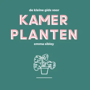 Must-Have De kleine gids voor kamerplanten