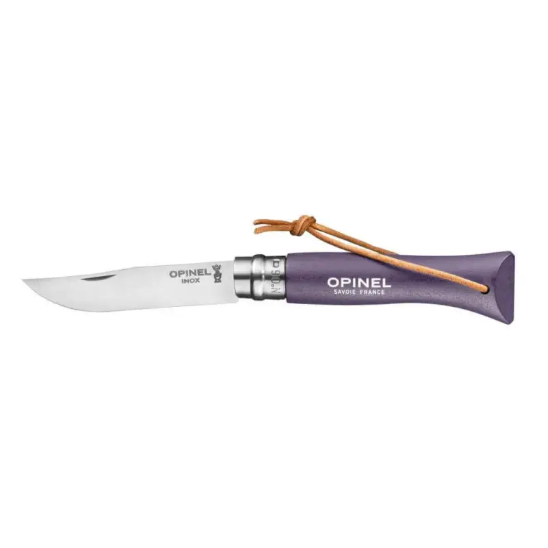 Bestel Nu Opinel zakmes No. 06 7 cm rvs paars