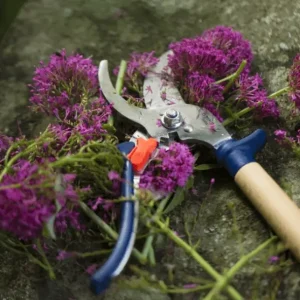 Opinel snoeischaar 21,5 cm rvs blauw Exclusieve Aanbieding