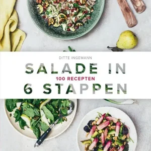 Rechtstreeks Van De Fabrikant Salade in 6 stappen : 100 recepten