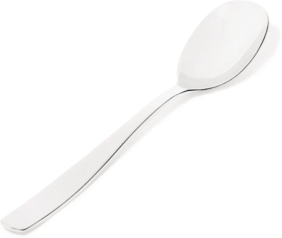 Lage Kosten Alessi KnifeForkSpoon serveerlepel 25 cm rvs