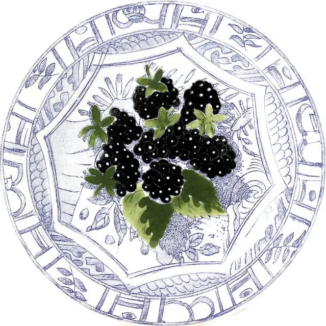 Laatste Versie Gien Oiseau Bleu Fruits Mûres gebaksbord ø 16,5 cm keramiek