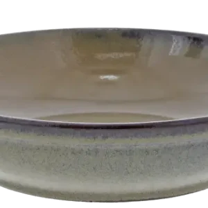 Superprijs Oldenhof 1821 diep bord ø 23 x 5,5 cm aardewerk mosgroen