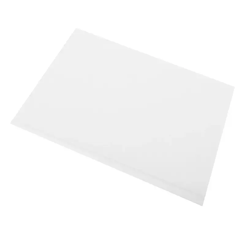 Scholtes Vetfilter 481248048136 / C00345793 Koopje