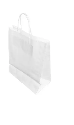 Alleen Vandaag HorecaTraders Recyclebare witte papieren draagtas met gedraaid handvat – groot 255x305 mm – 250 stuks