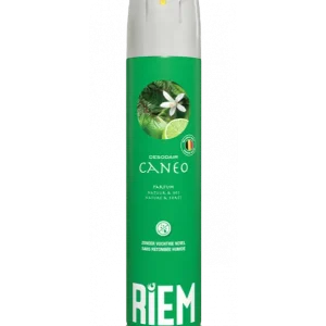 Hete Deal Riem Luchtverfrisser groen natuur & bos 300ml