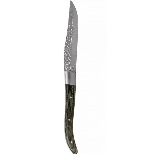 Flitsaanbieding Amefa Royal Steakmes Lunar