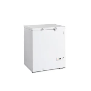 FR205 SL : Diepvrieskist Aanbieding