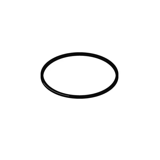 Geberit O-ring tbv danser v. badsifon (ve 10 st.) 905448001 (vervallen) Nieuw