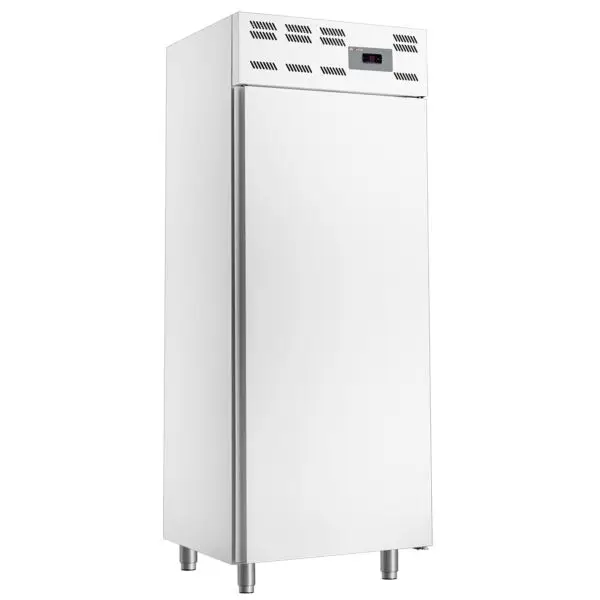 Direct Beschikbaar Diamond vrieskast WR-50WS-N-OCCB 725x675x1970mm 500L statisch wit